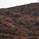 Investigators have identified 120 of the victims through DNA analysis, state media reported
