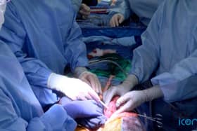 Experts now hope to carry out a clinical trial on living humans with serious kidney problems.