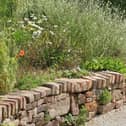 'Gardens aren’t just for looking at' - Prolific garden designer predicts trends for 2022
