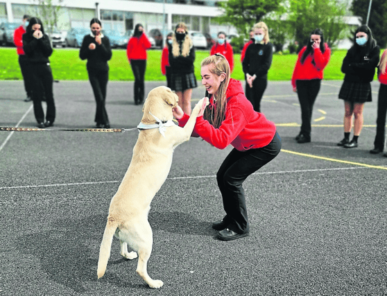 Mercy Ballymahon student Zara Mulvihill giving a Hi5 to Cooper as part of the Cian’s Kennels #CiansHi5 challenge