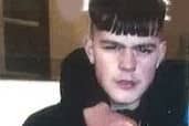 Missing teen Kristians Briedis