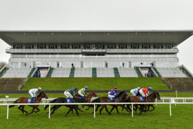 TG4 will feature live horse racing from Limerick Racecourse on Sunday