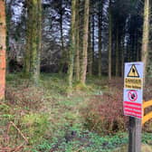 The area where the lambs were dumped