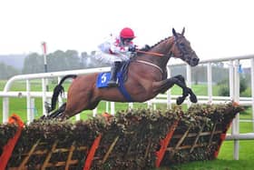 Pat Cluskey, Seán Fanning and Simon Fagan comprise the SSP Number Twentytwo Syndicate, and by all accounts – in particular, the one carried by the RP – they have a right good ‘un on their hands.