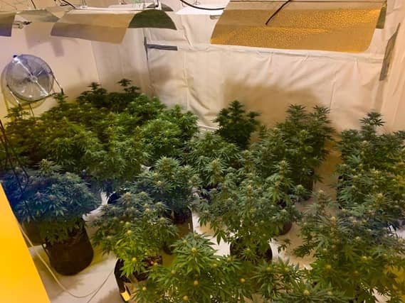 Five men arrested as Longford Garda drugs unit involved in €289,000 Valentine's Day cannabis bust