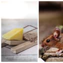 Rentokil issue toxic baiting pest control warning to businesses