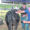 James McNally and Fergal Manning in full preparation mode PICTURE: Michelle Ghee