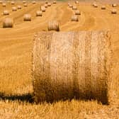 Report: Combined heat and power facility to be built in North Offaly