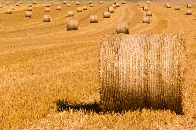 Report: Combined heat and power facility to be built in North Offaly