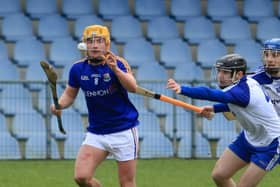 Johnny Casey pictured in action for the Longford hurlers against Monaghan in the National League Division 3A game at Glennon Brothers Pearse Park on Sunday last. Photo: Syl Healy