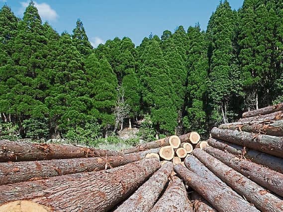 Forestry experts from Teagasc and DAFM will discuss the management requirements of the different forests