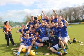 The delighted Longford senior hurlers celebrate after winning the National League Division 3B Final on Sunday.  Photo: Coilin Duffy
