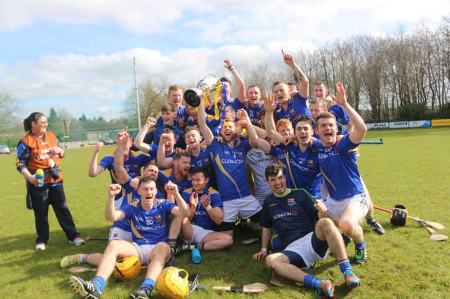 The delighted Longford senior hurlers celebrate after winning the National League Division 3B Final on Sunday. Photo: Coilin Duffy
