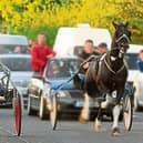 Sulky racing taking place on a public road