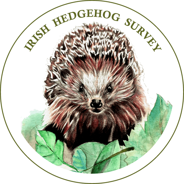 Record your hedgehog sightings from June 8