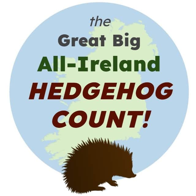 Record your hedgehog sightings from June 8