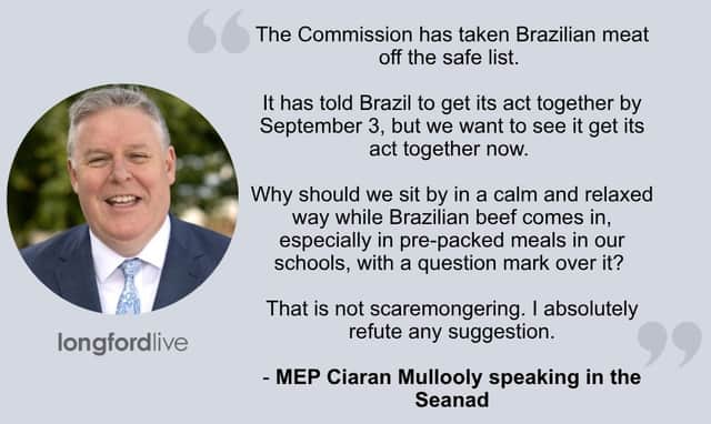 Ciaran Mullooly speaking in the Seanad