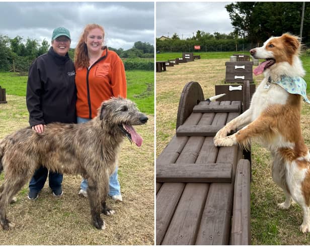 The brand new Woofland dog park in Cloondara , Co Longford is opening on Saturday, July 11