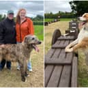 The brand new Woofland dog park in Cloondara , Co Longford is opening on Saturday, July 11