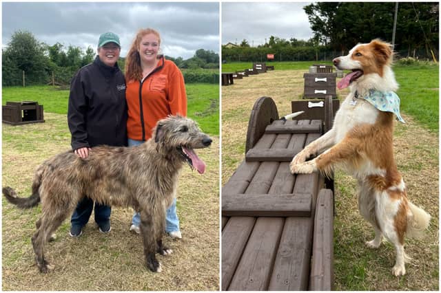 The brand new Woofland dog park in Cloondara , Co Longford is opening on Saturday, July 11