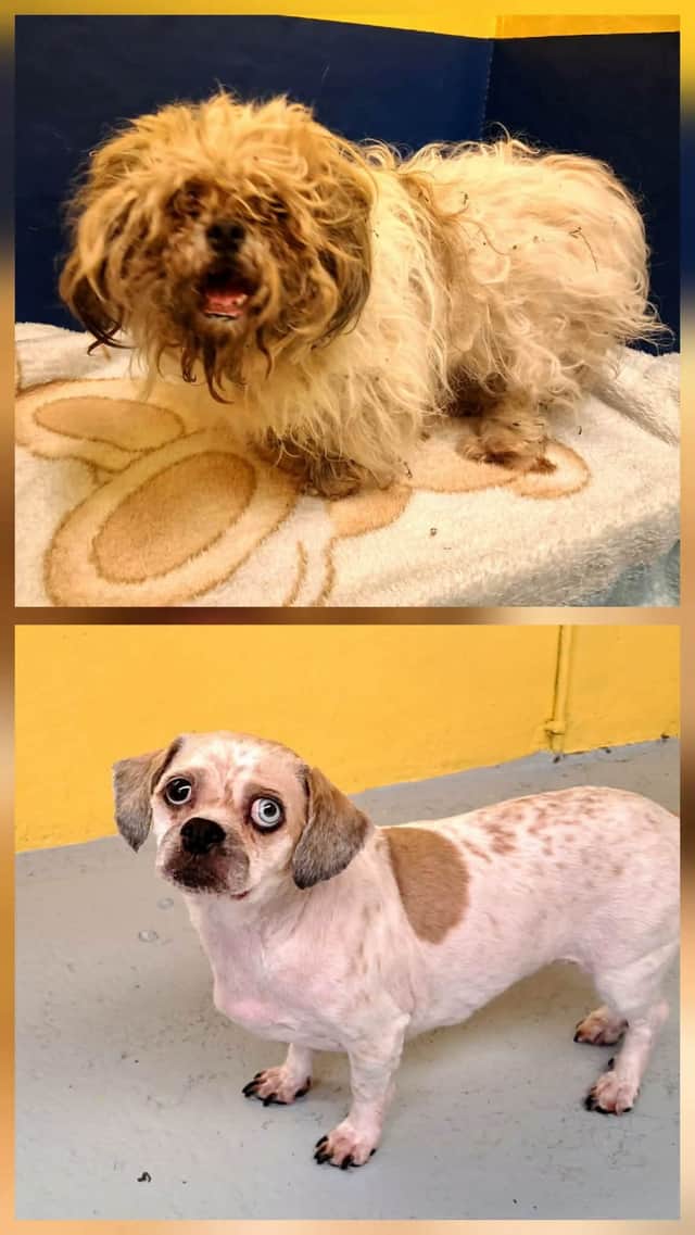 Before and after