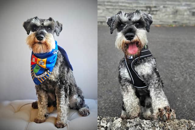 He's got style, he's got grace ... the reigning Nose of Tralee