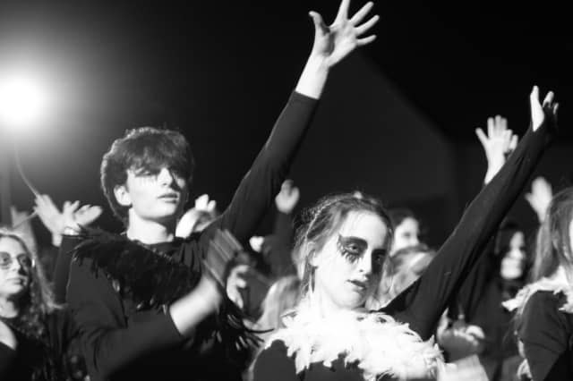 The new programme offers chance for students to work alongside professional artists.