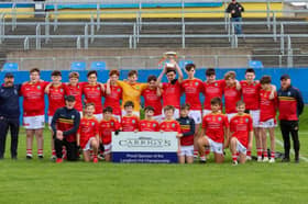 The victorious Ballymahon Forgney Gaels 
