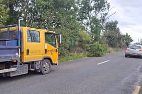 Longford County Council tending to fallen tree branches in Lanesboro, yesterday evening, September 29