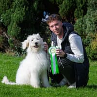 South Longford Labradoodle-Bernese Mountain Dog crowned provincial Puppy of the Year