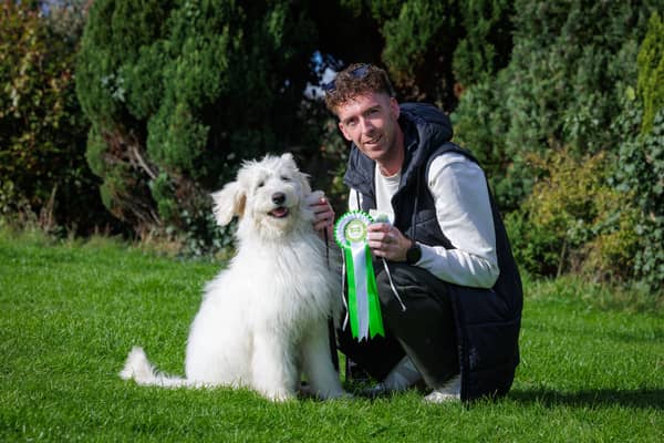 Summer, a Labradoodle-Bernese Mountain Dog cross from Ballymahon pictured with David Keenan