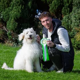 Summer, a Labradoodle-Bernese Mountain Dog cross from Ballymahon pictured with David Keenan