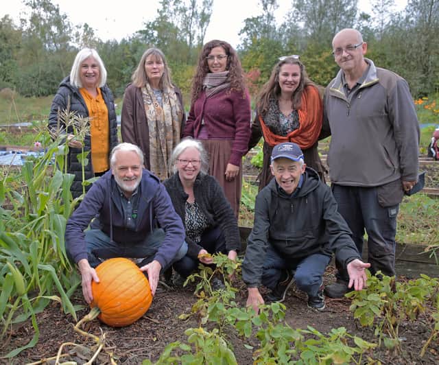 Members of the Longford Town Community Allotments Committee. Back Row: Edel Kelly, LCRL; Gráinne Brady, Vice Chairperson; Magdalena Ruszaj, Treasurer; Irene Doran, Vice Secretary and William Quinn, Secretary.
Front row: Andy Smith, Chairperson; Mary Morrissey, Vice Treasurer; and Tony Shiel, member.