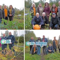 How Longford's community allotment came to fruition