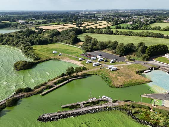 Blue-green algae on Lough Neagh