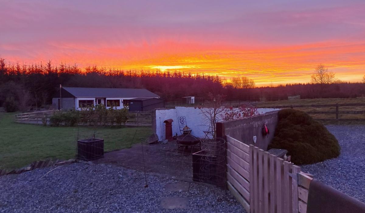 Gallery 7 Longford County Council and Longford Leader Love Your Home