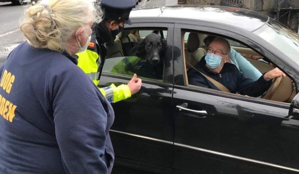 Paws for thought Gardaí team up with Longford dog warden to encourage
