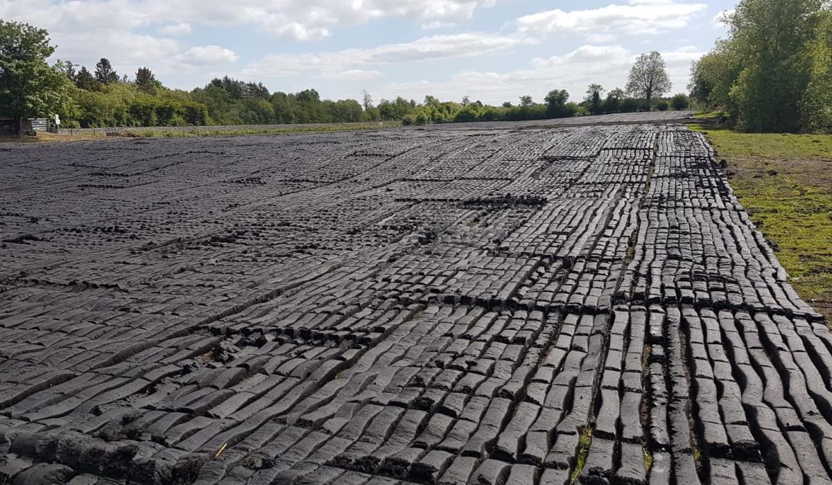 Midlands turf cutting contractor fined for illegal extraction