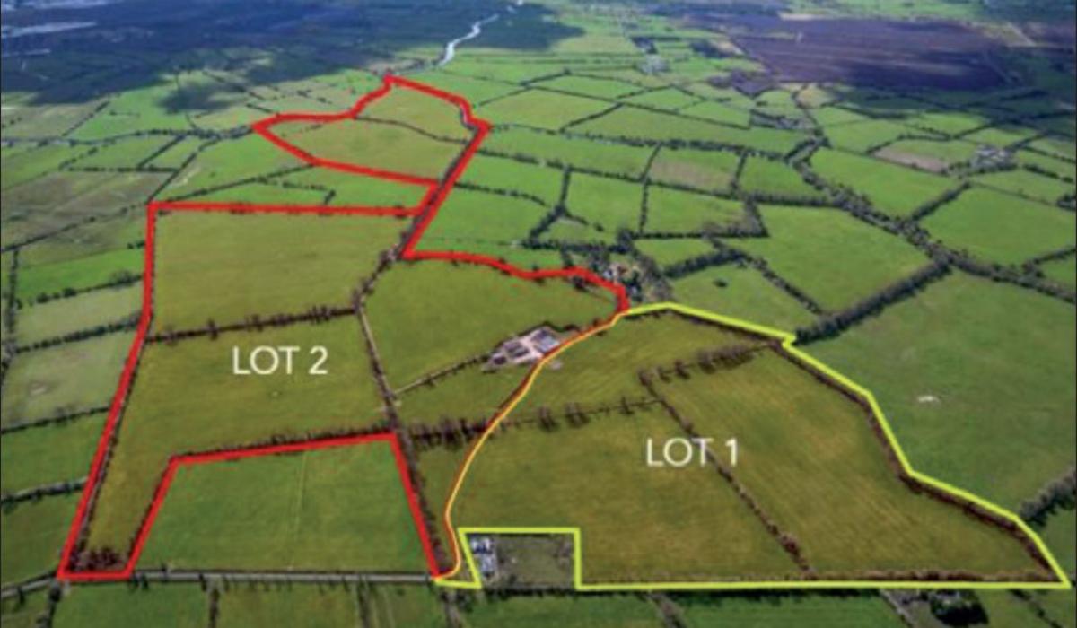 Two large lots of prime farm land in Midlands going up for auction in