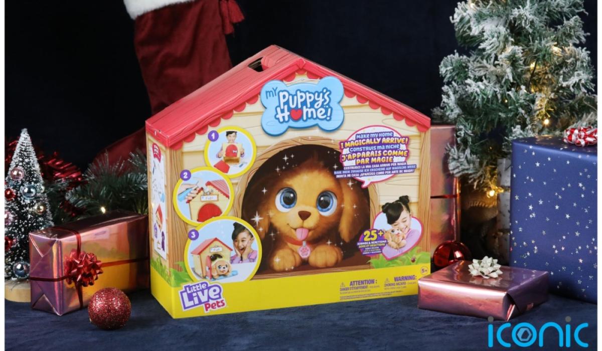 Will they feature on the Late Late Toy Show? The must have toys for