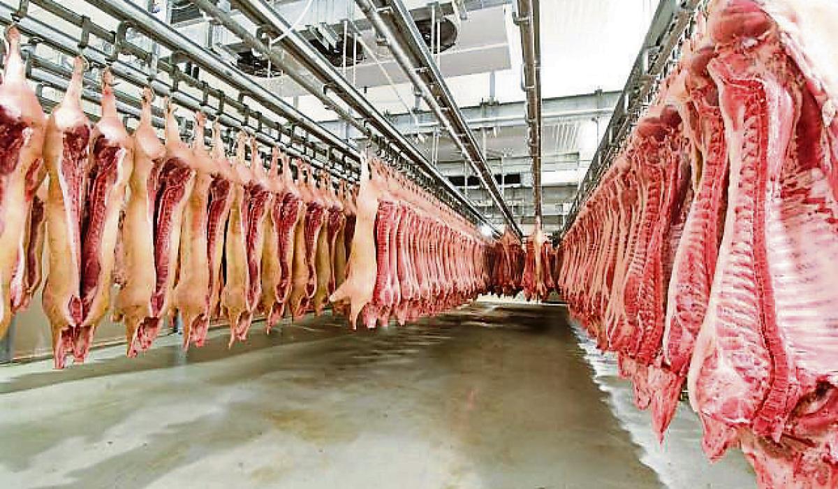 Factory opportunism unacceptable, beef prices must push on says IFA