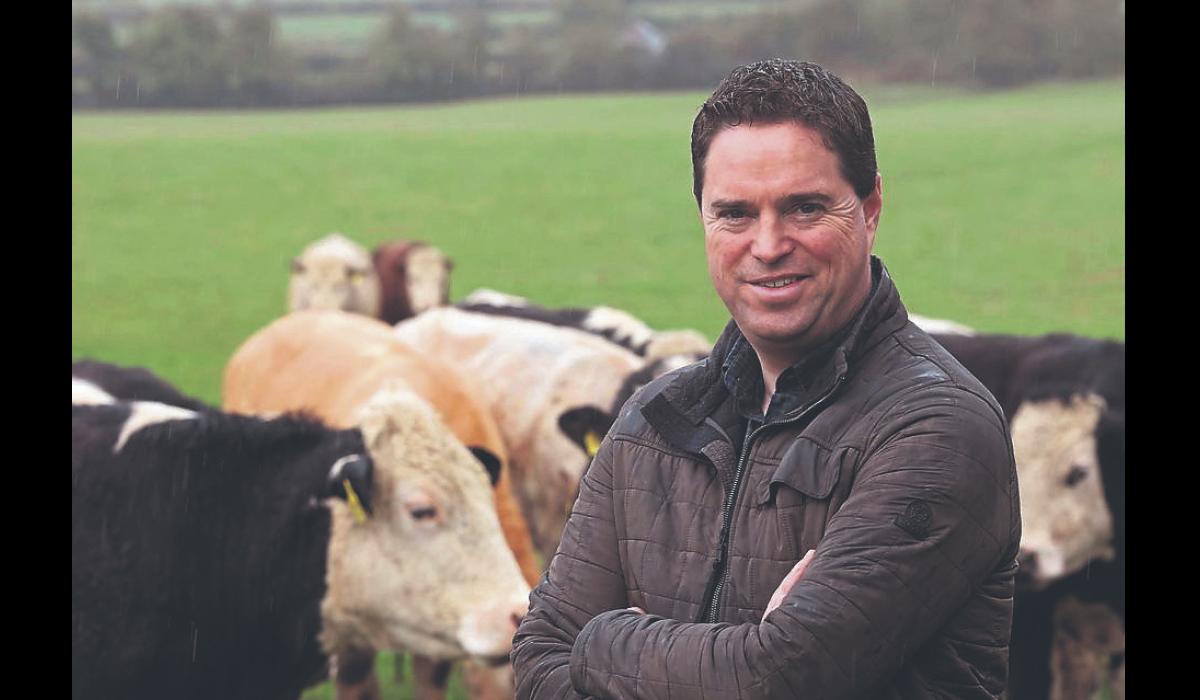 Longford farmers to receive Sheep Welfare and Eco scheme payments