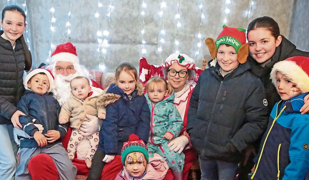 Winter warmth in Longford along the Ballinalee Forest Walkway