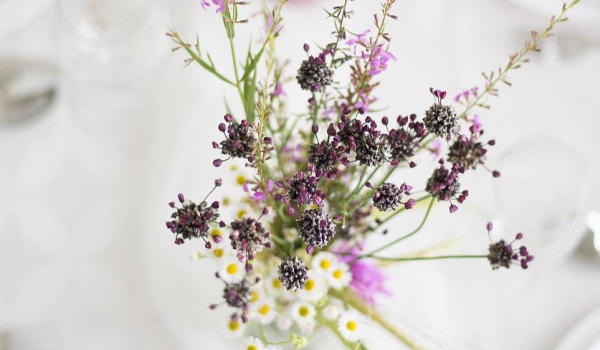 Congratulations: Recent Longford weddings throughout the county