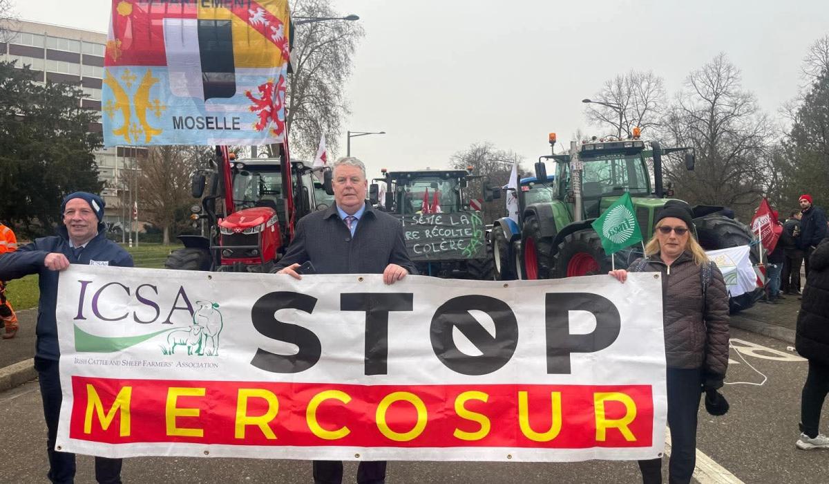 Longford MEP Ciaran Mullooly: Referral of Mercosur to European Court 'a critical step in defending farmers'