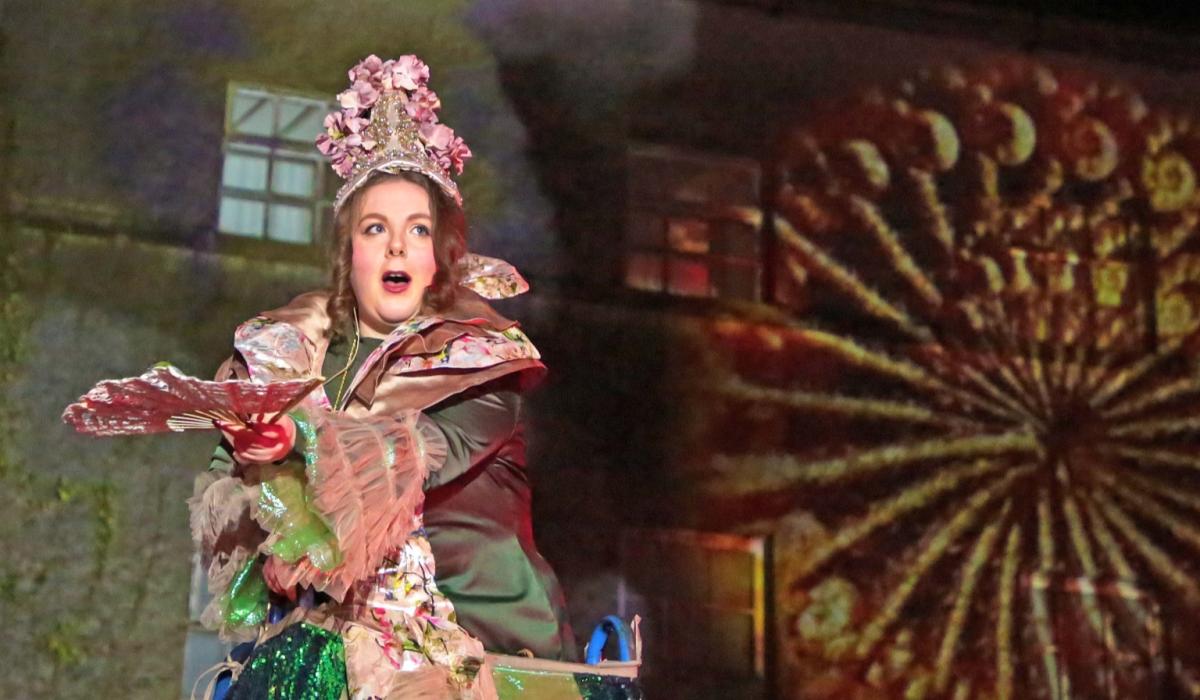 Longford organisations receive €433,000 in Arts Council funding for 2026