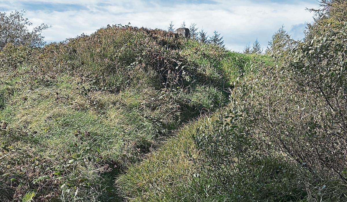Historic Longford site set for its first ceremonial gathering in more than 4,000 years