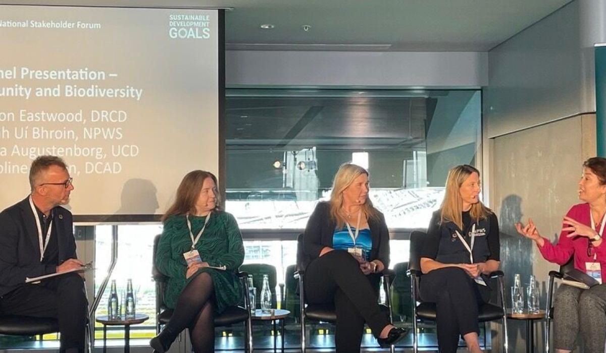 Sustainability and biodiversity workshop in Longford's EDI Centre