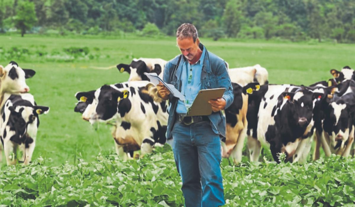 Longford farming news: Upcoming workshop will help organic farmers to remain compliant