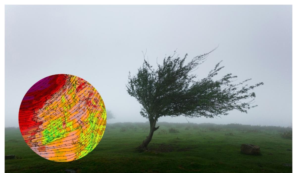Strong winds set to batter Ireland as wind warnings issued for entire country